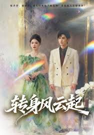 转身风云起(全集)