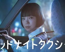 午夜出租车(2026)(全集)